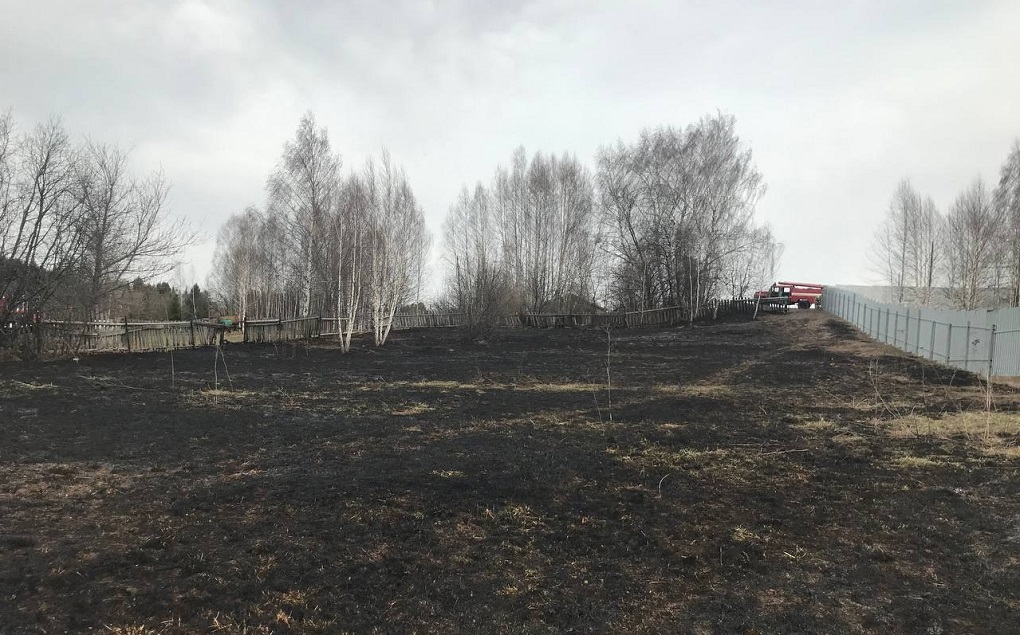 Возгорание сухой растительности устроил пенсионер в Завьяловском районе