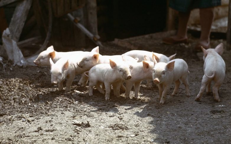 Советский Крым в 1984 году 
