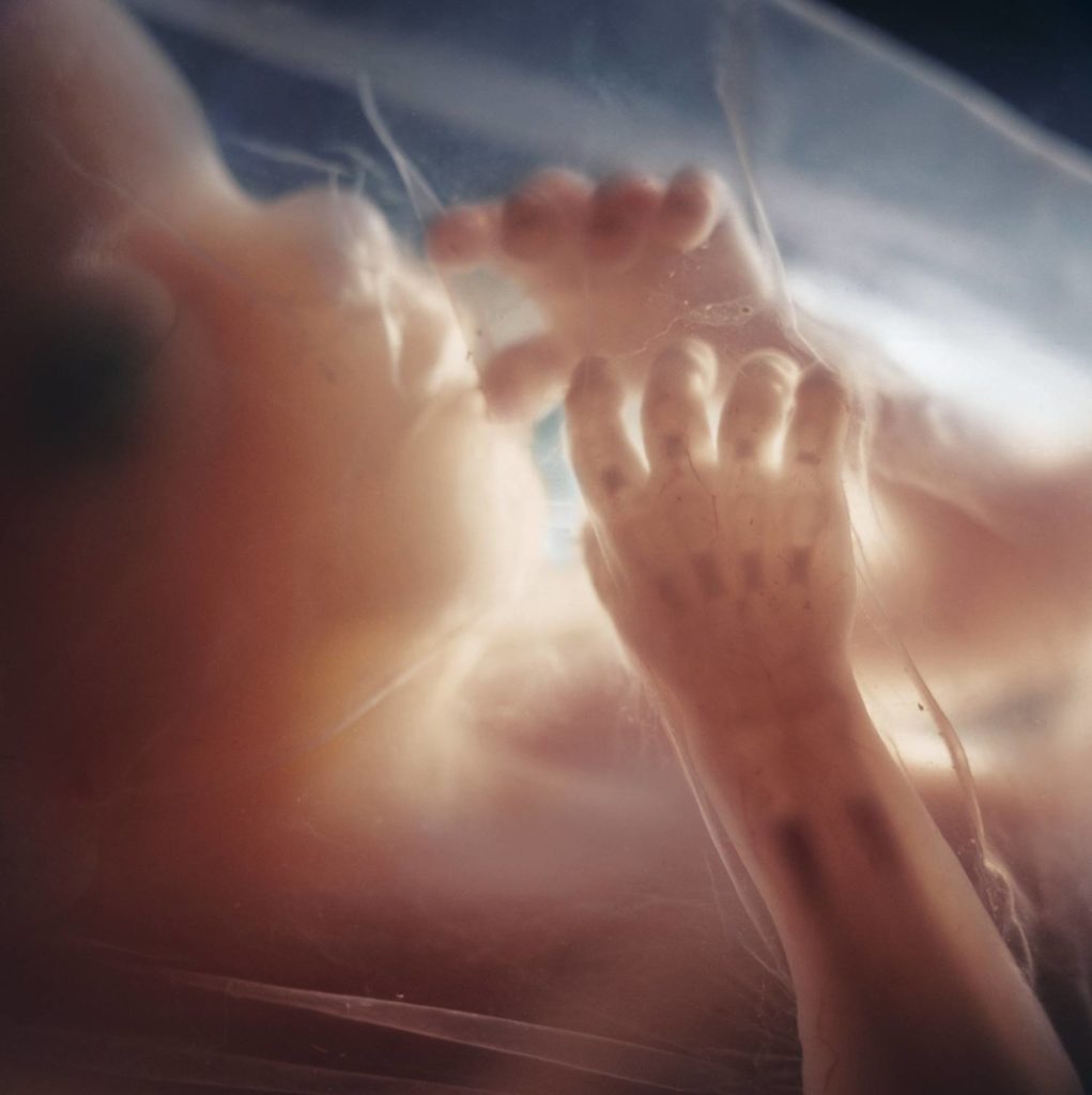 Это удивительно! Фото, которые раскрывают тайну зарождения жизни Это удивительно! Фото, которые раскрывают тайну зарождения жизни