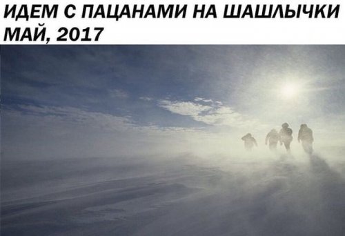 Прикольные картинки дня (50 шт)