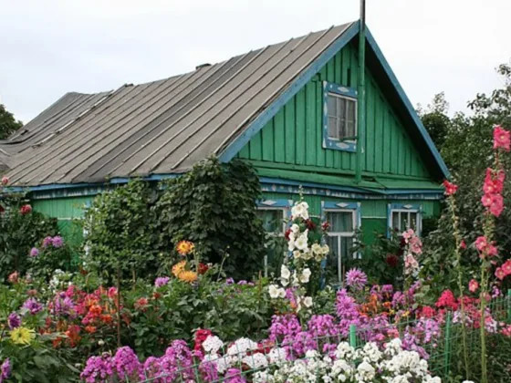 что им запрещено с 1 сентября?