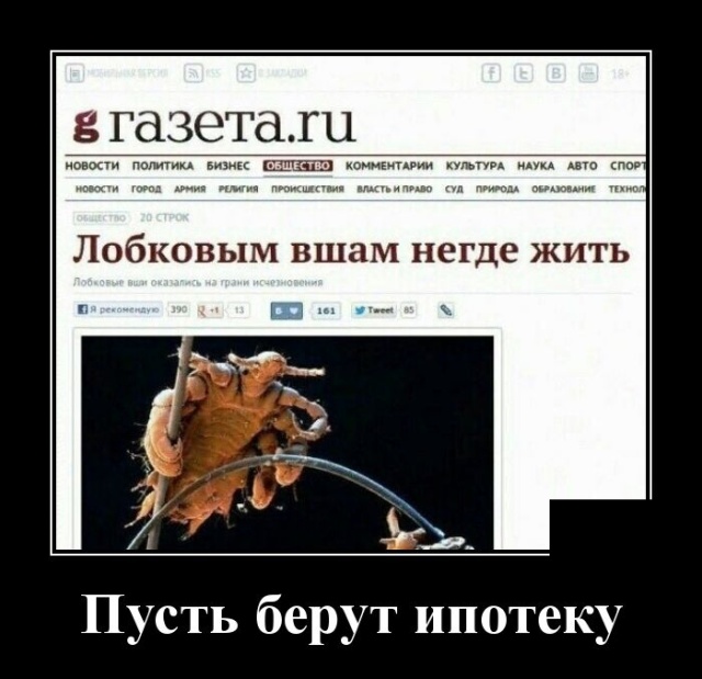 Новые демотиваторы демотиваторы