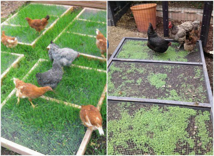 17 полезностей для дачников, которые нужно опробовать на своем участке уже сейчас 17 полезностей для дачников, которые нужно опробовать на своем участке уже сейчас домашний очаг,идеи для дачи,мастерство,полезные советы,своими руками,умелые руки