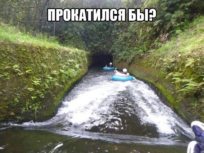 смешные картинки с надписями весело, прикол, юмор