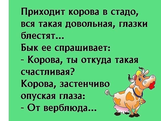 Решила жена заглянуть к своему мужу — директору фирмы на работу... Весёлые