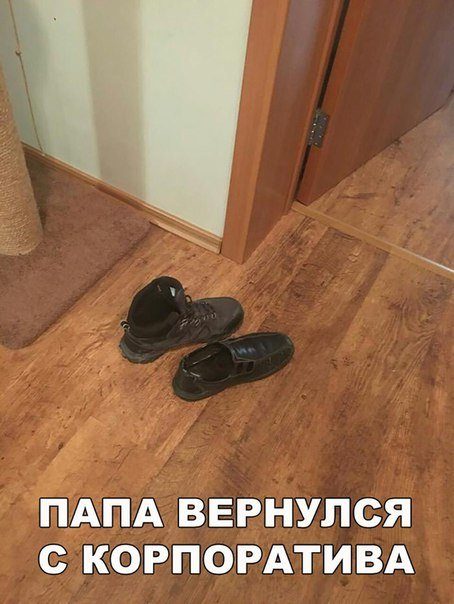 Лучшие фотомемы