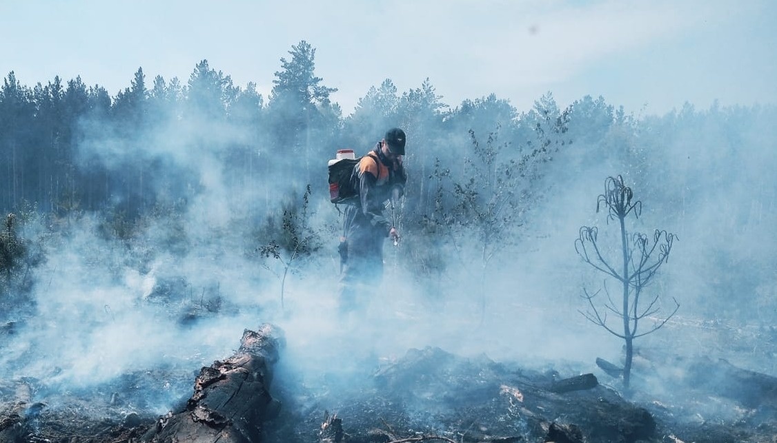 Архангельские пожарные вернулись после тушения огня в тюменских лесах: 50 человек работали месяц
