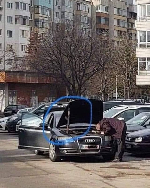 Смешные картинки в ассортименте 