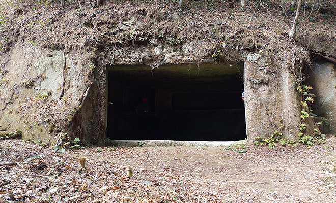 Древнее метро возрастом 5000 лет: под всей Европой проходят тоннели, предназначенные не для людей