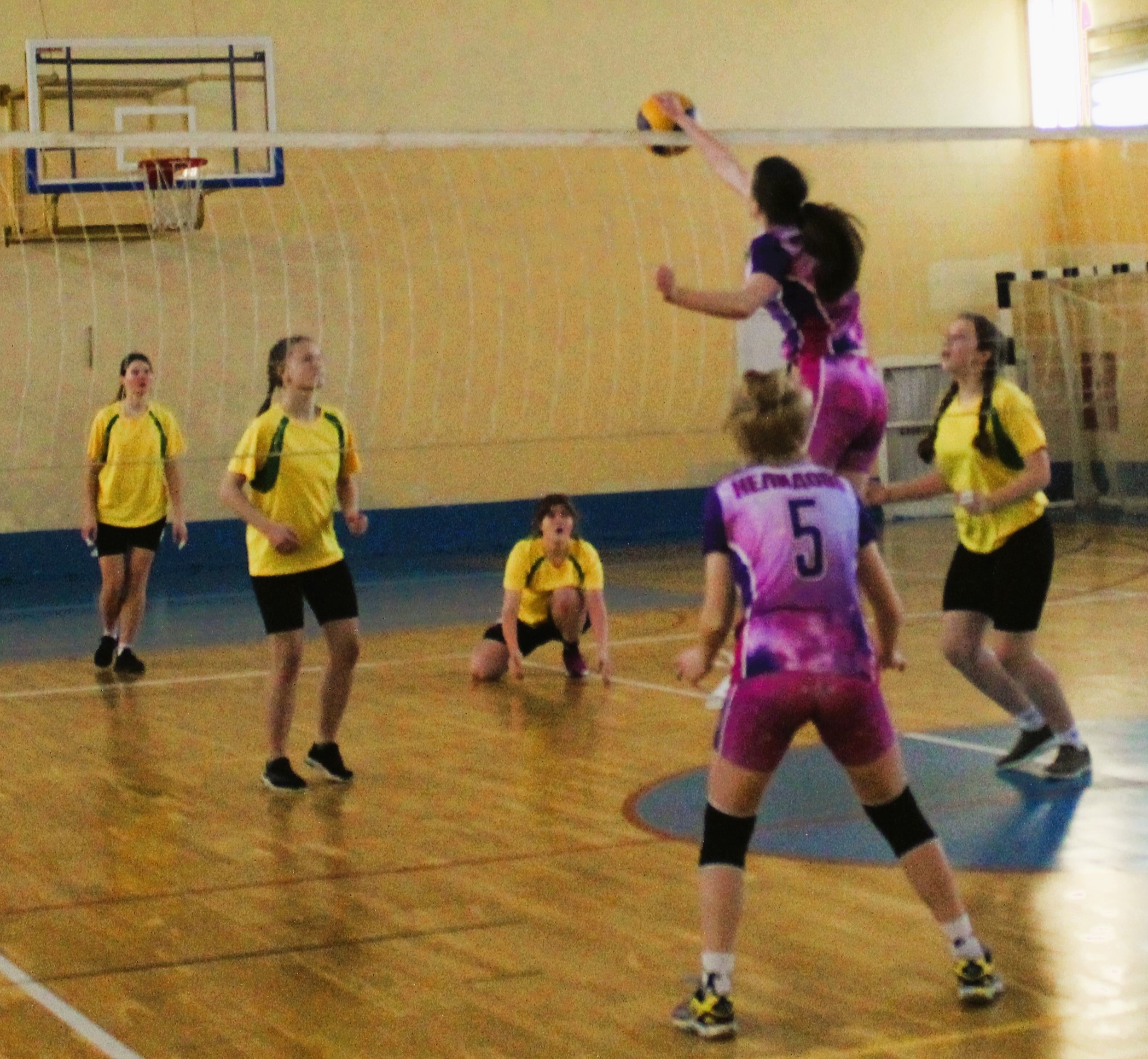 В Нелидове стартовал зональный этап первенства по волейболу среди женских команд