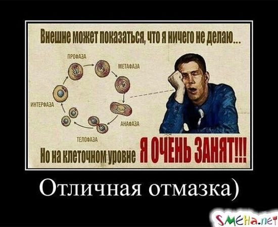 Отличная отмазка