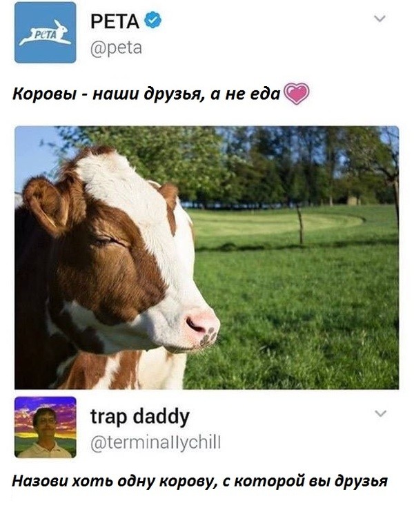 Смешные комментарии из социальных сетей весело, прикол, юмор