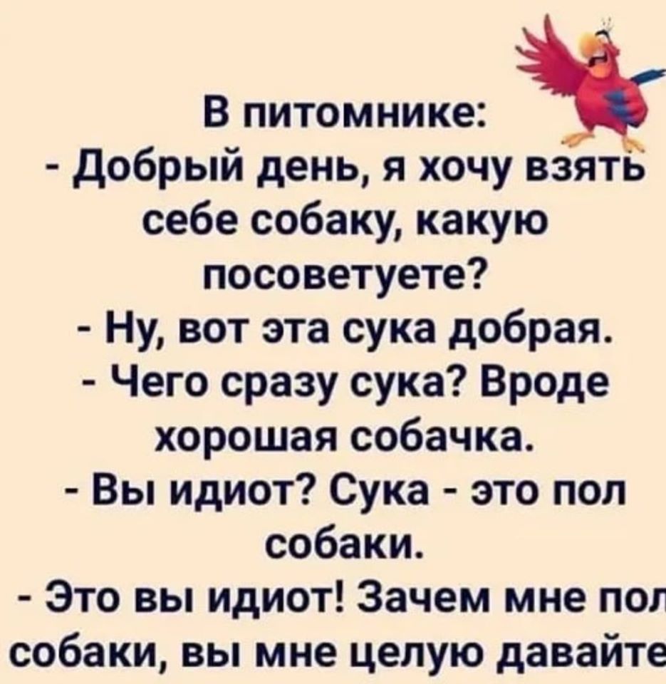 Бегущий малыш налетает на прохожего. - Куда ты так спешишь, мальчик?... говорит, лучше, такую, фотографию, чтобы, прохожего, этого, сразу, девушка, мечты, работы, друга, журнале, разглядывая, Ивановой, нервами, международном, положении, поднятии, производительности