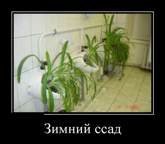 Новые демотиваторы демотиваторы