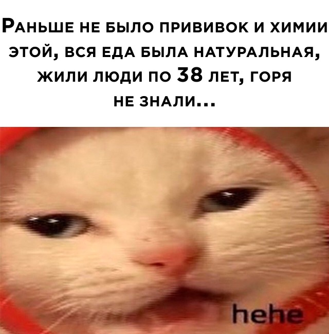 Подборка прикольных картинок. Вечерний выпуск  приколы,смешные картинки,юмор