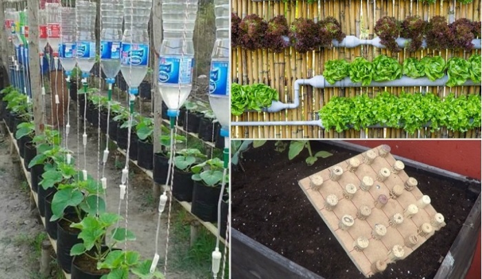 17 полезностей для дачников, которые нужно опробовать на своем участке уже сейчас