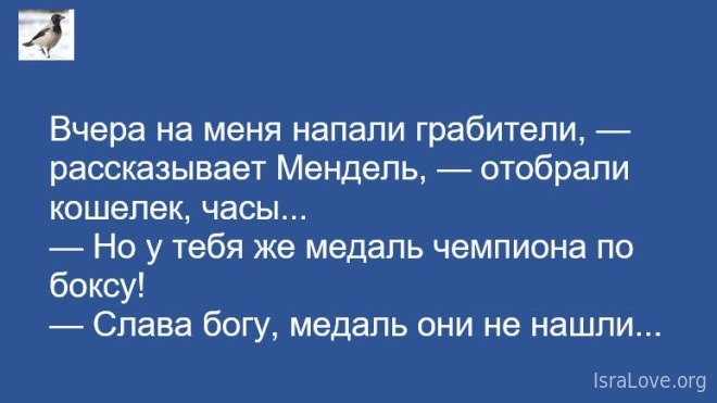 Хочу уже оливье и бухать шампанское! анекдоты