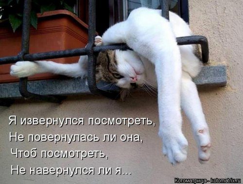 Самая убойная котоматрица 