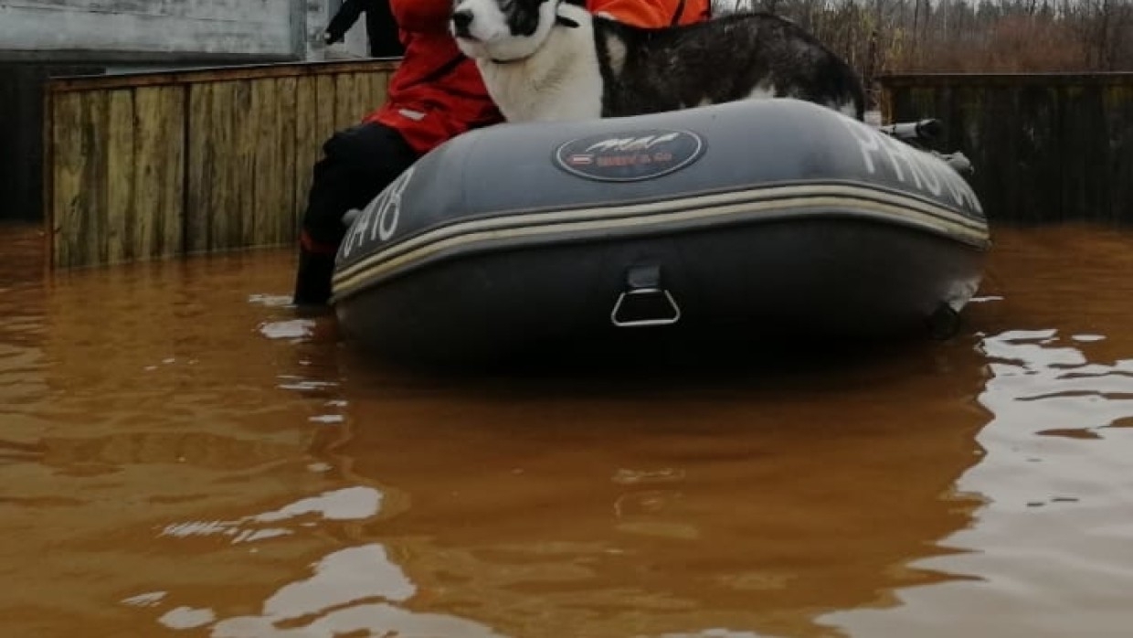 Спасатели  ликвидируют последствия паводка в Приамурье Происшествия