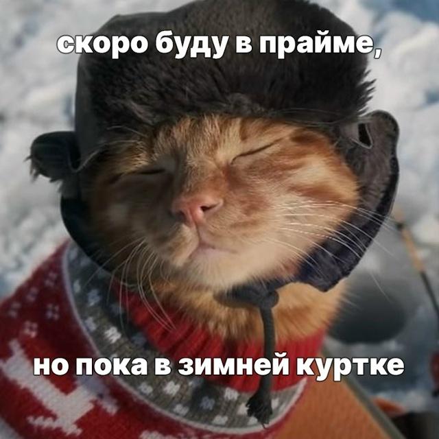 Эффект главного героя: что такое прайм, о котором говорят зумеры, и как его достичь жизнь, своей, жизни, наступает, кажется, можно, нужно, времени, прайме, хотите, такое, праймфото, жизнью, забывать, вперед, должен», получится, часто, прайм, может