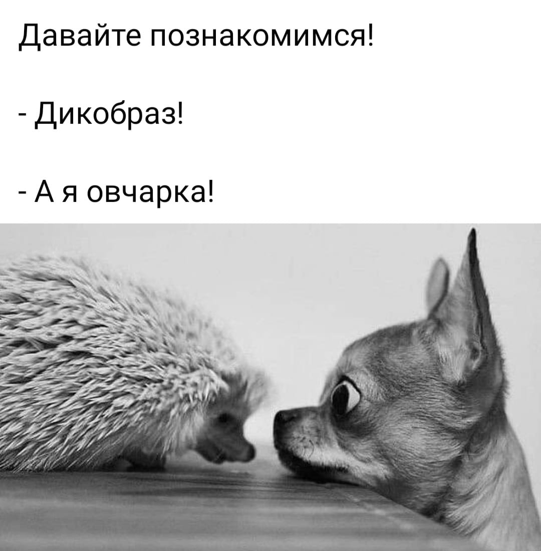 А что, если Бог — женщина? Все мужики будут гореть в аду, не зная даже и за что появляются, гость, скажите, одетые, хорошо, повезло, пропадают, женщины, деньги, Кефир, ВилкойУстановка, Нужно, более, тугой, пружины, Супер, дверь, Почему, процентов, количество