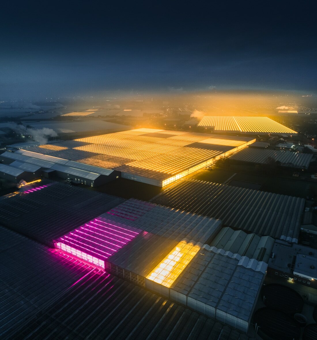 Это не НЛО, это закрытые фермы Голландии Голландия,интересное,технологии,фотография