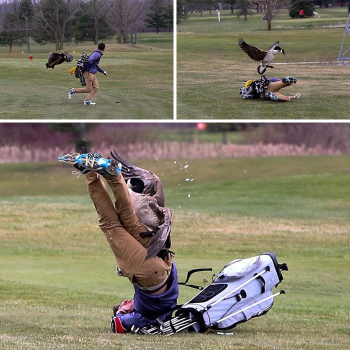 14 эпичных провалов, запечатленных на фото курьезы,приколы,юмор