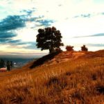 Создатели читов для PUBG рекламируют их прямо в игре  