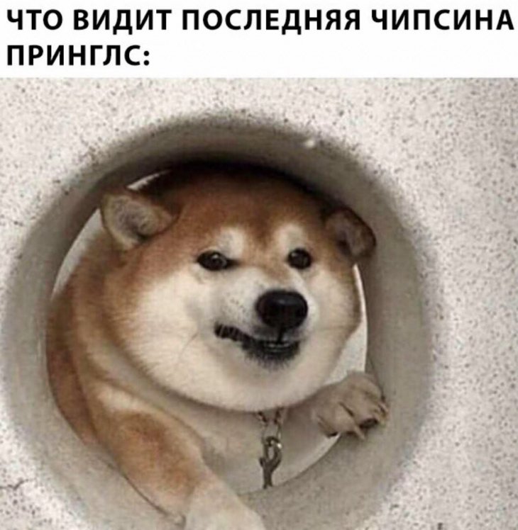 Подборка свежих мемов и смешных картинок Подборка свежих мемов и смешных картинок