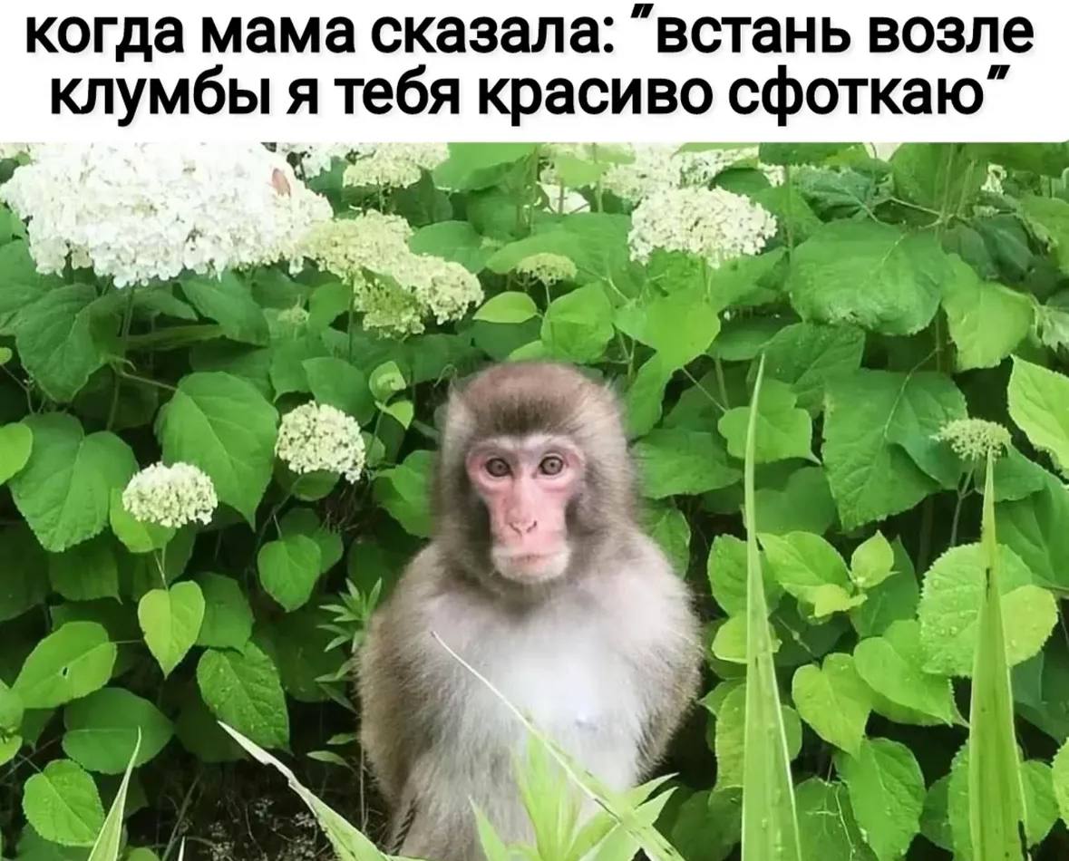 Третий лишний… когда второй контрольный 