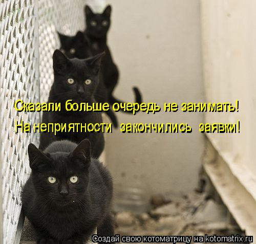 1586540449_kotomatrica-6 (500x477, 135Kb)