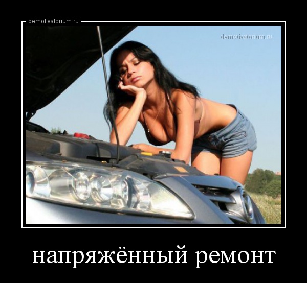 Прикольные и смешные демотиваторы на вечер для улыбки и позитива