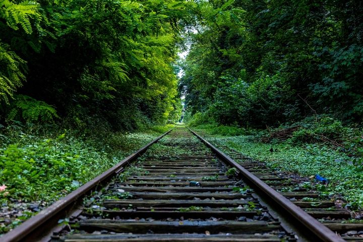 Подросток погиб под колесами поезда в Гагаринском районе Саратова Происшествия