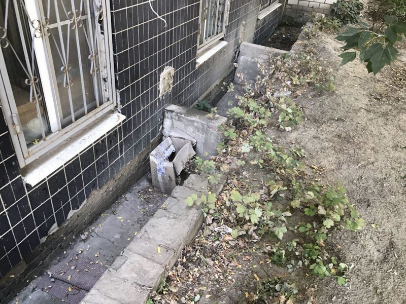 Как за полгода превратить Россию в Европу Как за полгода превратить Россию в Европу волгоград