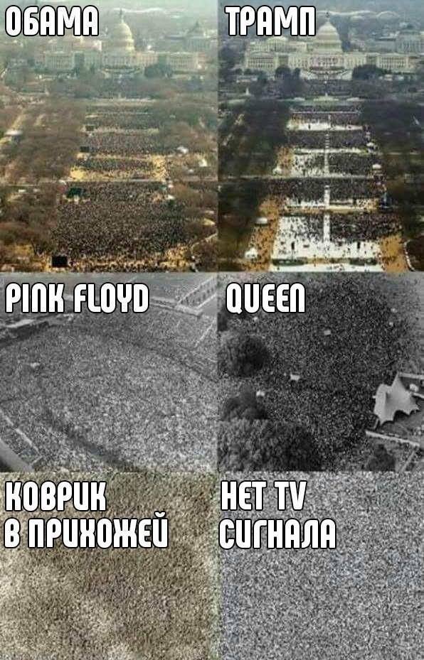 Учёные шутят Учёные шутят отдых