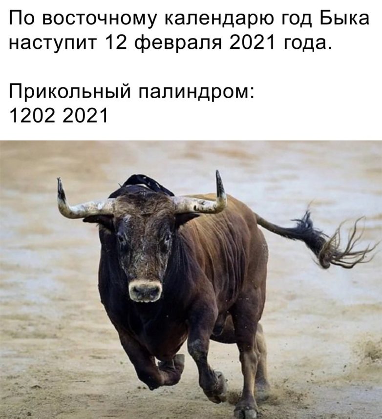 Этот праздник не закончится никогда! Согласны? Этот праздник не закончится никогда! Согласны? позитив,смешные картинки,фото-приколы,юмор