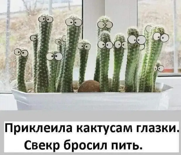 Тамада посмотрел все части Тамада посмотрел все части