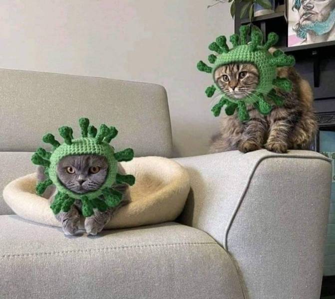 Подборка картинок. Вечерний выпуск  приколы,смешные картинки,юмор