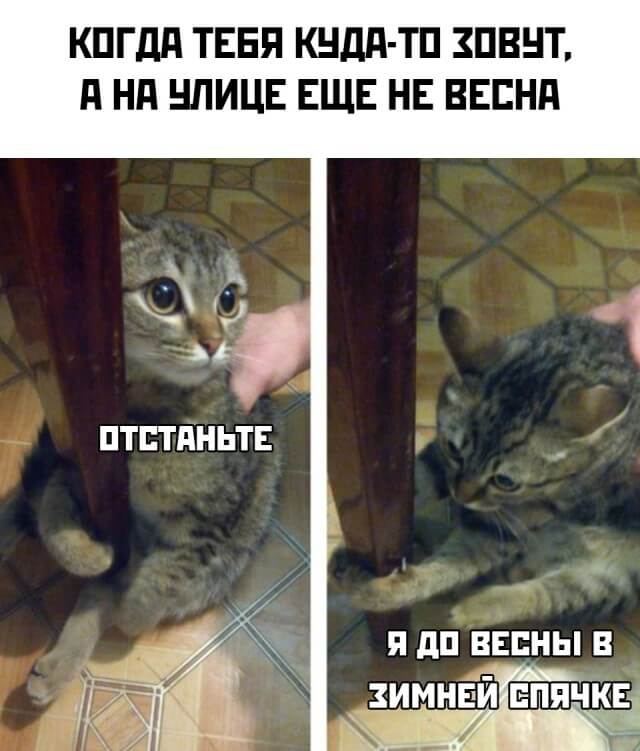 Подборка картинок. Вечерний выпуск 