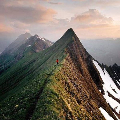 Позитивные эмоции и настроение Позитивные эмоции и настроение