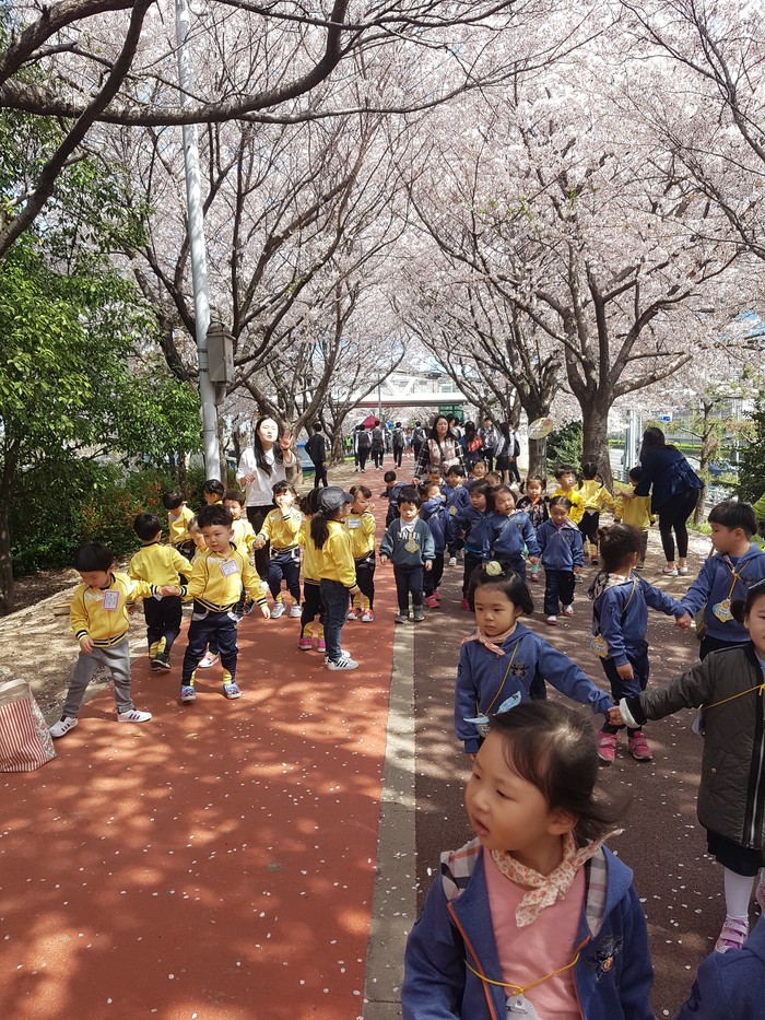 Россиянка делится наблюдениями из жизни в Южной Корее Россиянка делится наблюдениями из жизни в Южной Корее