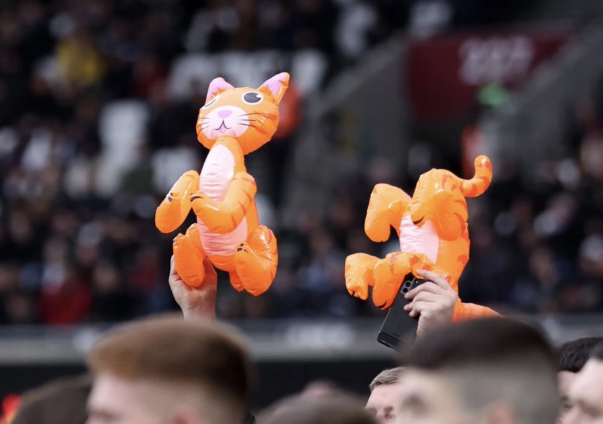 Фанаты «Ньюкасла» высмеяли Зума, взяв надувных кошек на матч с «Вест Хэмом»