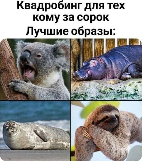 Холодно? А нефиг было переносить новогодние выходные на майские праздники