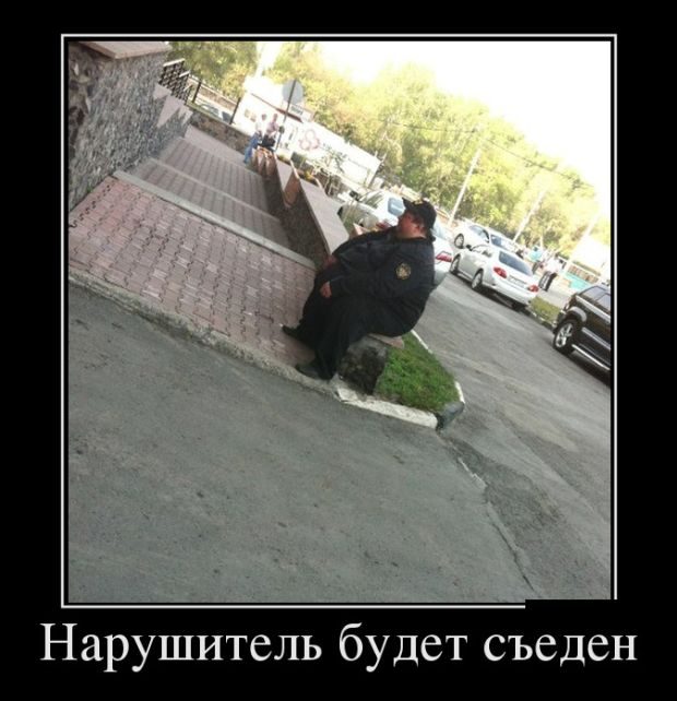 Демотиваторы-приколы!