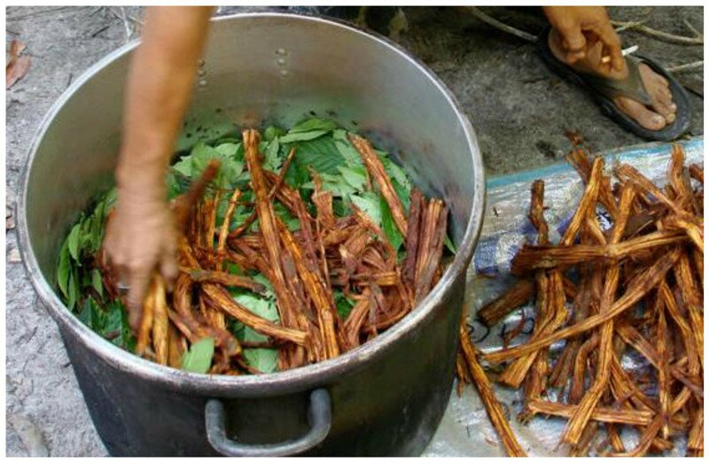 Самый странный, удивительный, опасный и мерзкий алкоголь мира