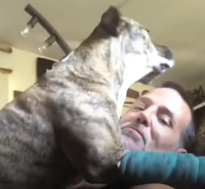 Потеряв собаку, мужчина нашел нетривиальный способ отыскать ее через Интернет Потеряв собаку, мужчина нашел нетривиальный способ отыскать ее через Интернет истории из жизни,не всё так грустно