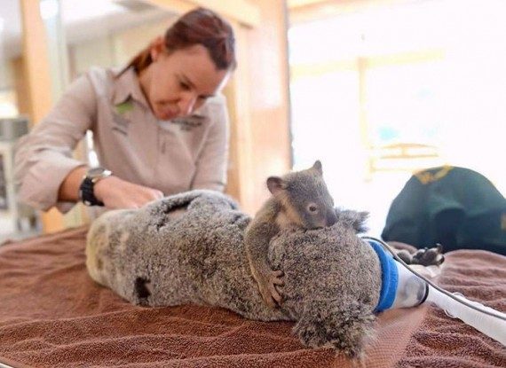 Позитивные моменты дня Позитивные моменты дня