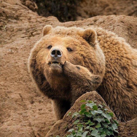 Позитивные моменты дня Позитивные моменты дня
