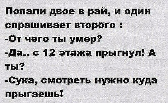 Две лягушки сидят на болоте. Мимо пробегает ежик… юмор,приколы,Юмор,картинки приколы,приколы,приколы 2019,приколы про