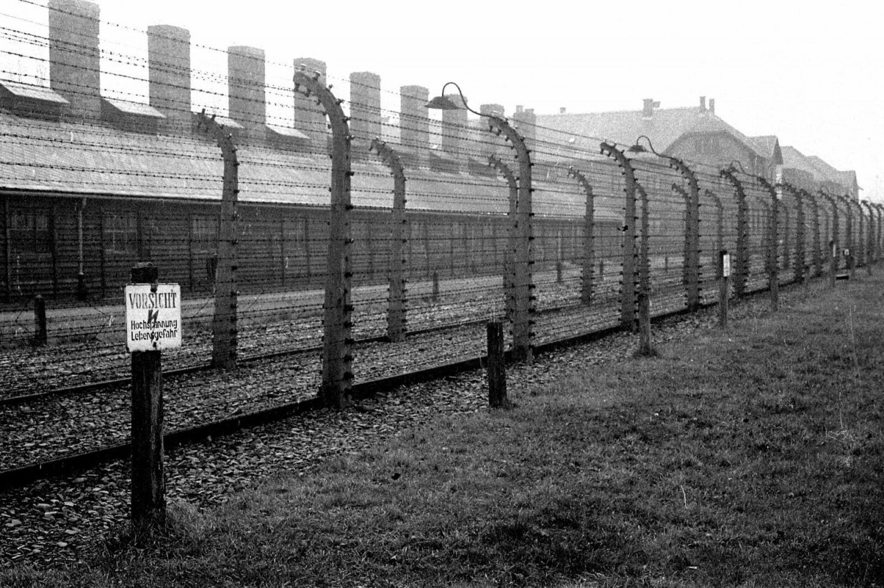 Колючая проволока в Аушвице, 1945 год аушвиц, вторая мировая война, день памяти, конц.лагерь, концентрационный лагерь, освенцим, узники, холокост